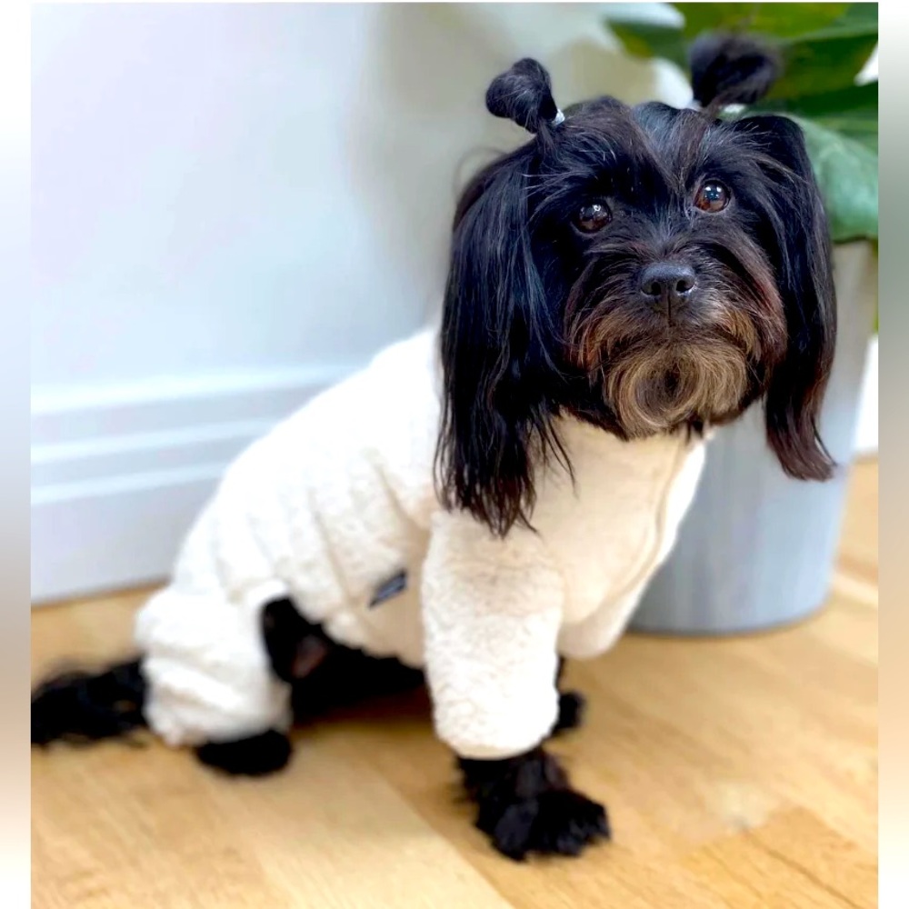 Dentists Appointment Boa Fleece Dog Onesie in Cream NWT